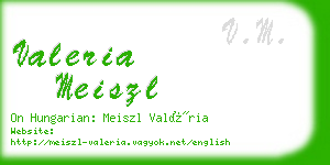 valeria meiszl business card